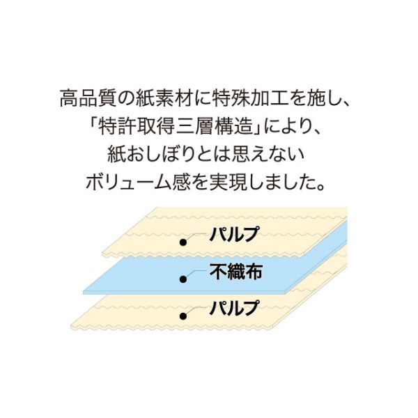 紙おしぼりクリールL 平 角田紙業