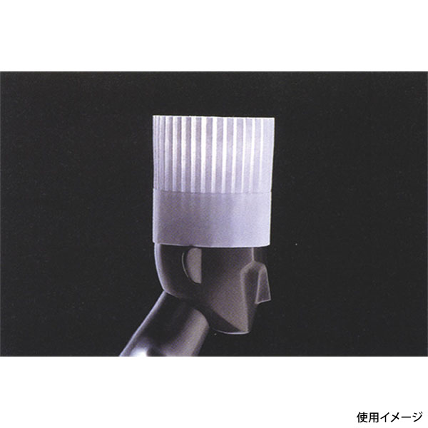 調理用帽子 パリス ハット PH-20(10枚入) ダック