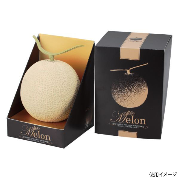 ギフト箱 L-2210 メロン飾1ヶ入ブラックL ヤマニパッケージ