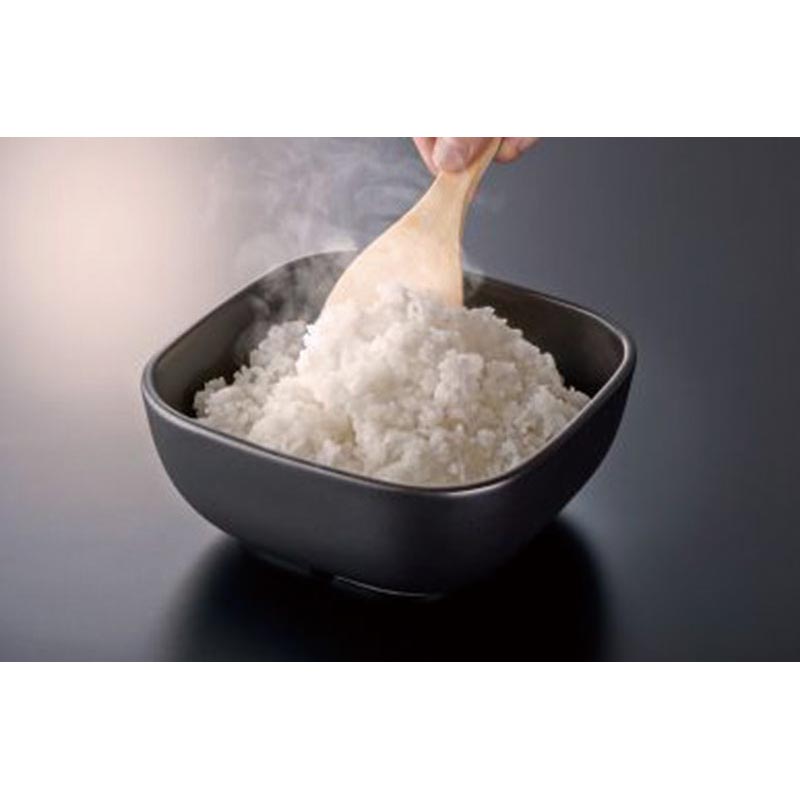 テーブル用品 ハリオ ご飯釜のおひつ GO-2B 2合用