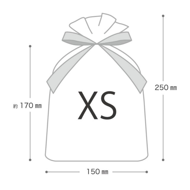 袋 カフェオレリボン付PEギフトバッグ-XS(20枚) ヘッズ