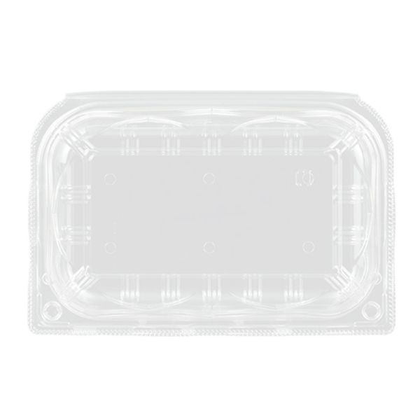 フルーツ容器 GPR-SS 6H エフピコチューパ