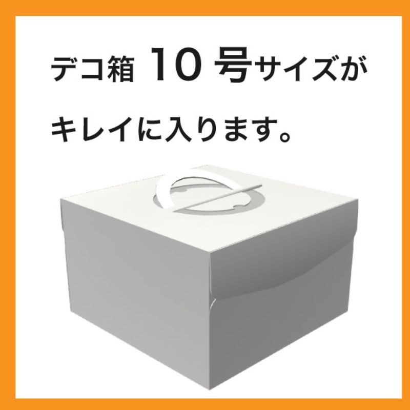 ポリ手提げ ワイド型フロストバッグ-4(10枚) ヘッズ