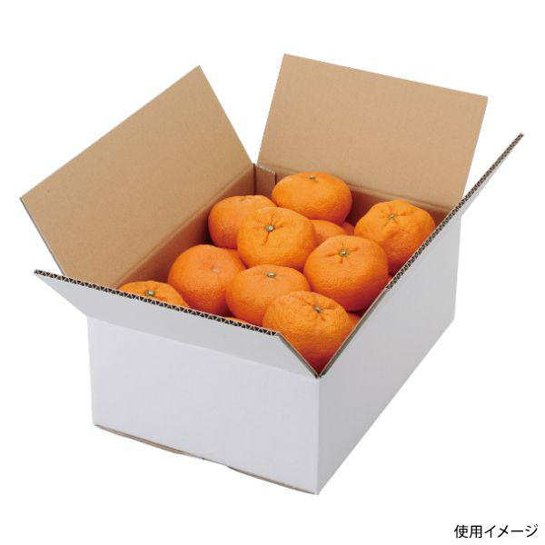 ギフト箱 L-2232 A式みかん白無地5㎏ ヤマニパッケージ