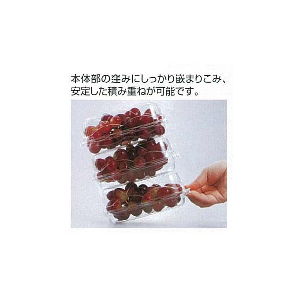 フルーツ容器 GPR-SS(深).6H エフピコチューパ