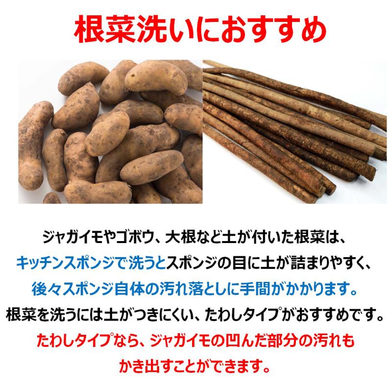 ヤシの実たわし キクロン