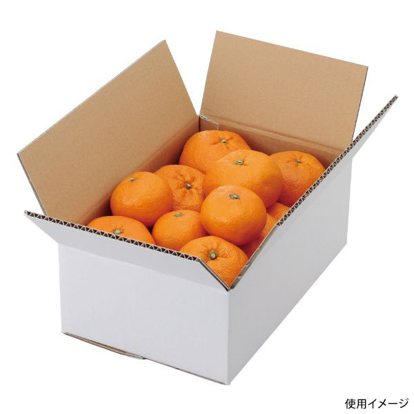 保障 野菜の結束に タバネラテープ 紫 新鮮野菜 ＶＰＳ−ＡＶ20 20ｍｍ×100ｍ 10入り