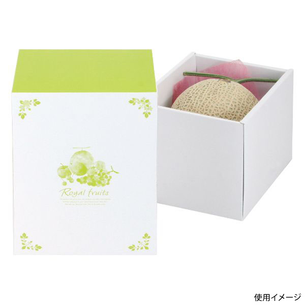 ギフト箱 L-2286 シャルトルーズメロン 1ヶ入160 ヤマニパッケージ