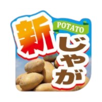 ラベル 33-3313 新じゃが 朋JSP