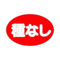 ラベル 43-4309 種なし 朋JSP