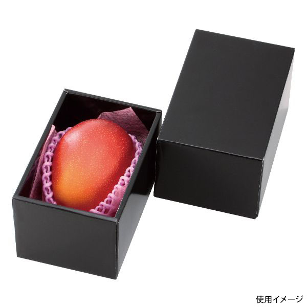 ギフト箱 L-2278 マンゴー金柑 BOX ヤマニパッケージ