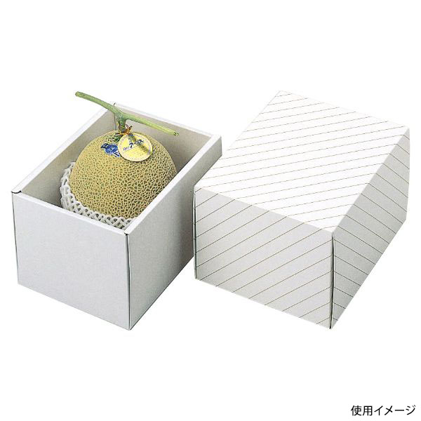 ギフト箱 L-158 メロン深口 ヤマニパッケージ