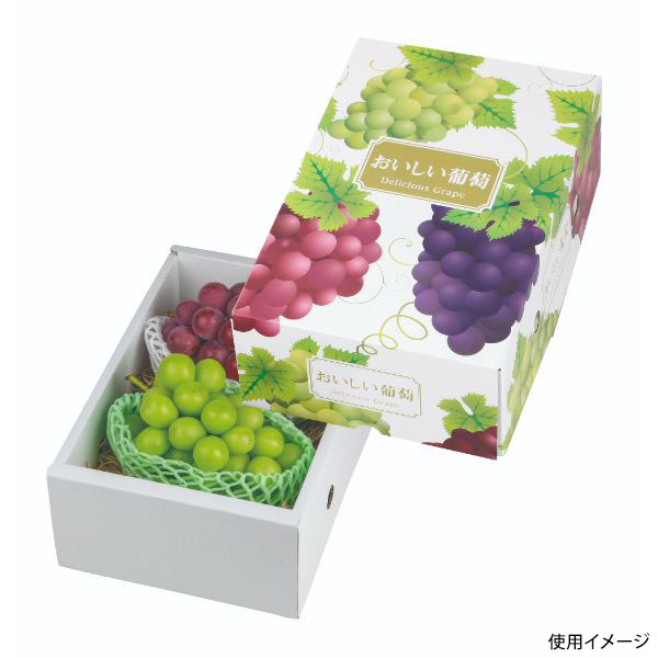 ギフト箱 L-2277 デリシャス葡萄2K ヤマニパッケージ