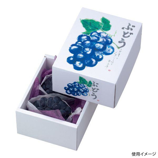 ギフト箱 L-2044 もぎたてのぶどう ヤマニパッケージ