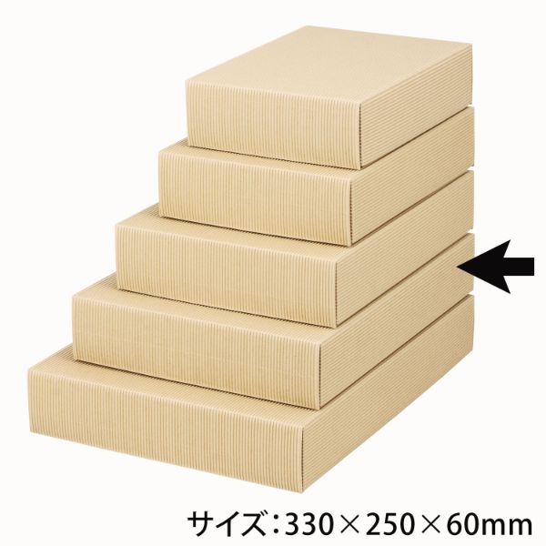 贈答箱 ナチュラル60大 ヤマニパッケージ