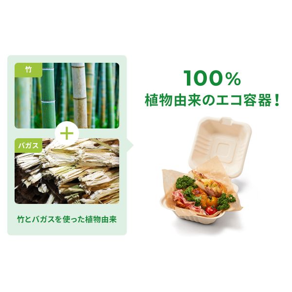 弁当容器 BBランチ 200-220-3 パックスタイル