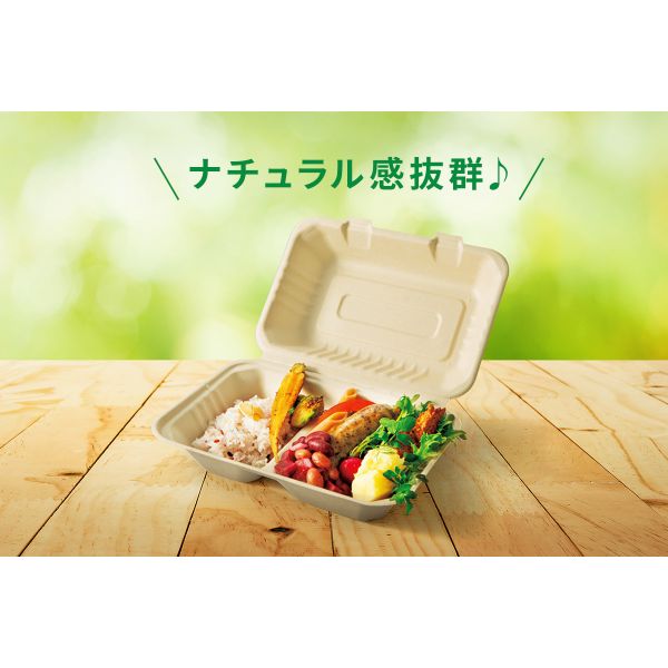 弁当容器 BBランチ 200-220-3 パックスタイル