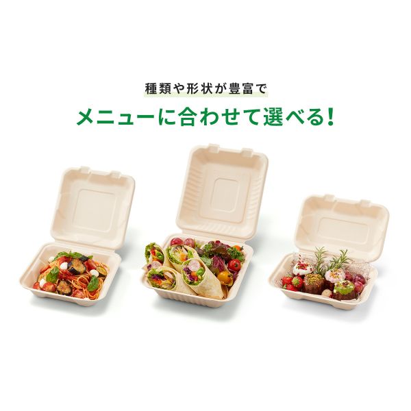 弁当容器 BBランチ 220-150 パックスタイル