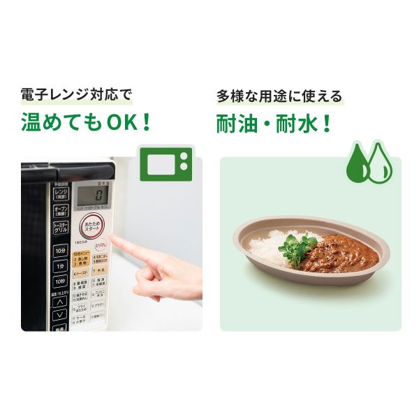 弁当容器 BBカレー 240-150 パックスタイル