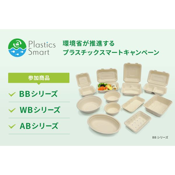 弁当容器 BBカレー 240-150 パックスタイル