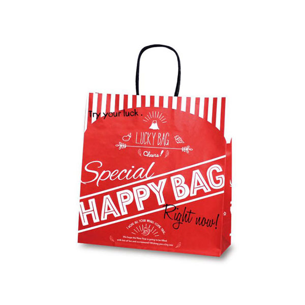 紙手提袋 1609 T-6 HAPPY BAG ベルベ