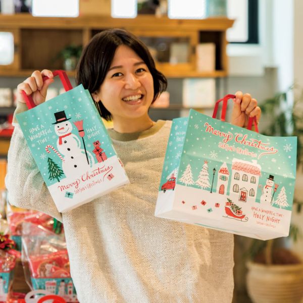 紙手提袋 クリスマスミントブルー ペーパーバッグ-3(50枚) ヘッズ