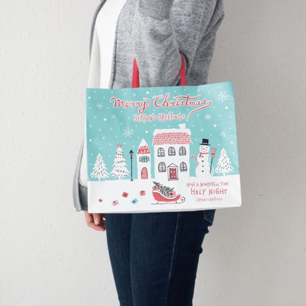 紙手提袋 クリスマスミントブルー ペーパーバッグ-3(50枚) ヘッズ