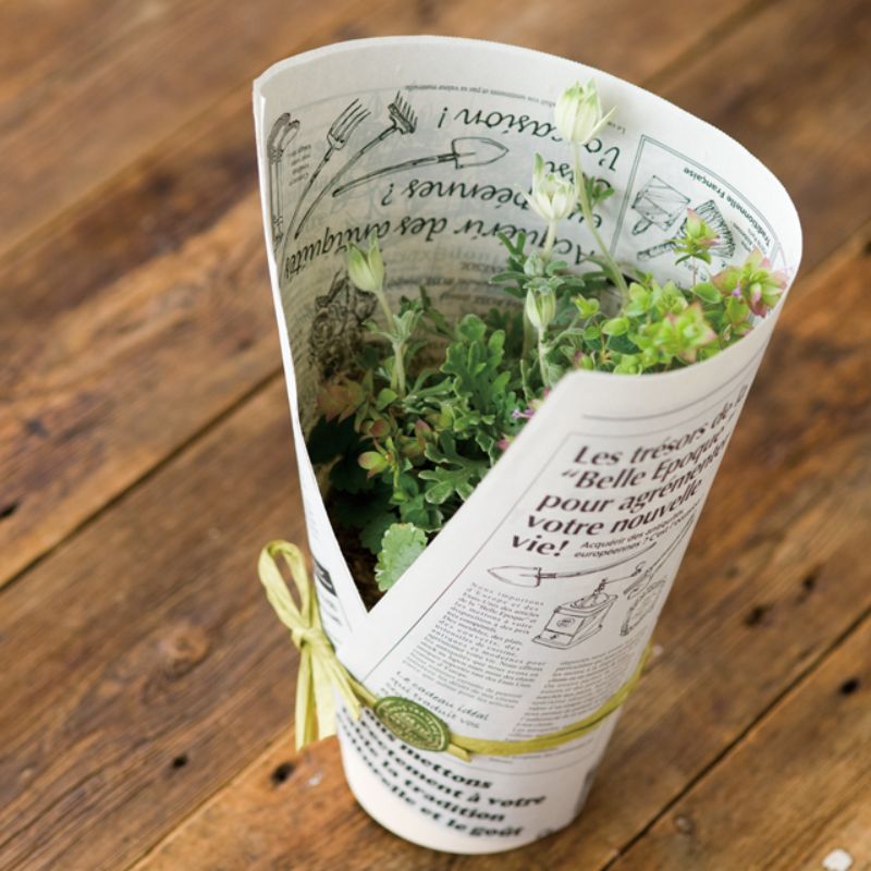 包装紙 ニュースペーパージャーナル-2WR(500枚) ヘッズ