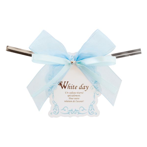 ホワイトデイワイヤータイ-4(10個) ヘッズ