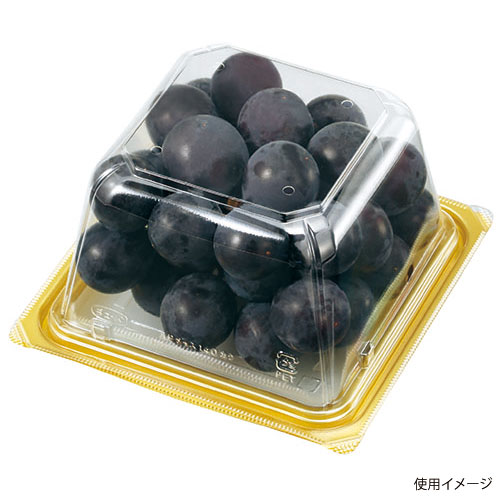 VFAPダイス 140角 内外嵌合蓋GW2C