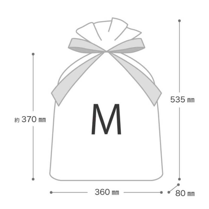 ヘッズ リボン巾着 ゴールドスノーリボン付ギフトバッグ-M(20枚)