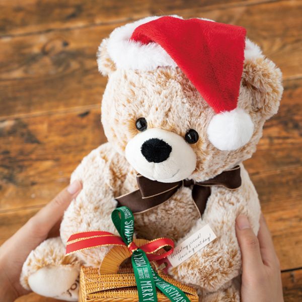 贈答用飾り クリスマスサンタ帽子-1(10枚) ヘッズ