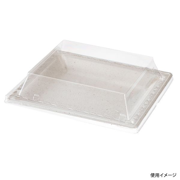 弁当容器 WBプレート 20-17 パックスタイル