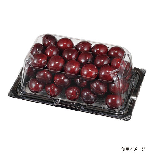 フルーツ容器 VF-APダイス 1811 本体.6H エフピコチューパ
