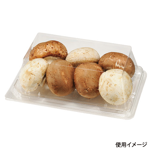 フルーツ容器 APロイヤル12-19R(57) エフピコチューパ