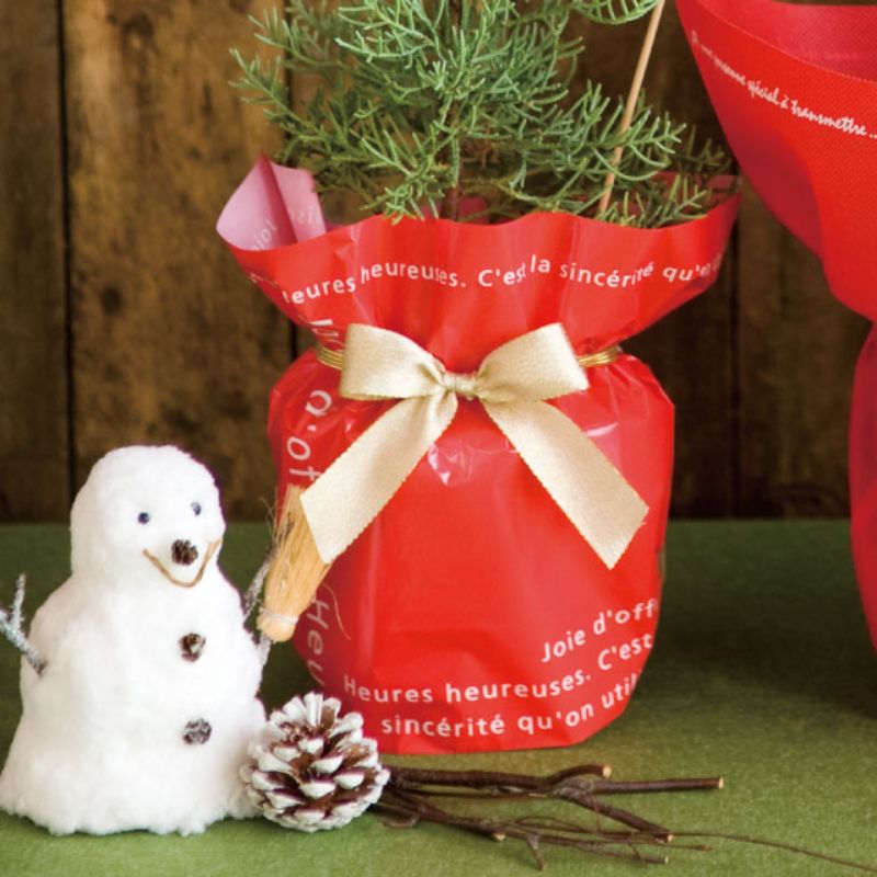 贈答用飾り ワンタッチゴムリボン-シャインゴールド(30個) ヘッズ