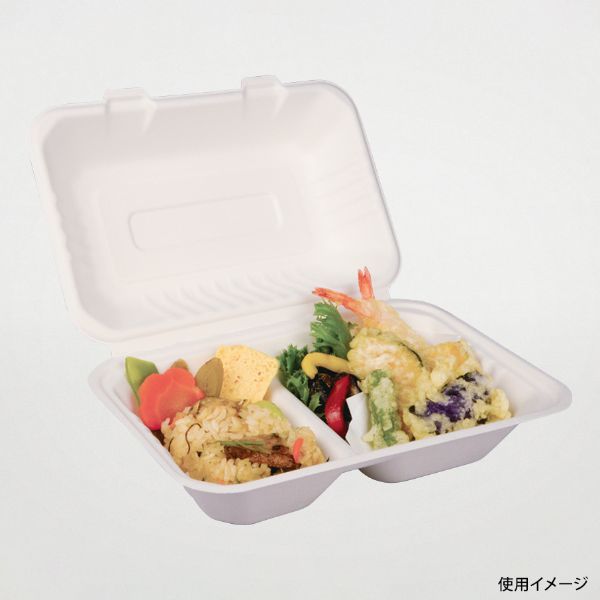 エコ容器 ABバガス ランチ240-150-2 パルプモールド フードパック 白色【weeco】