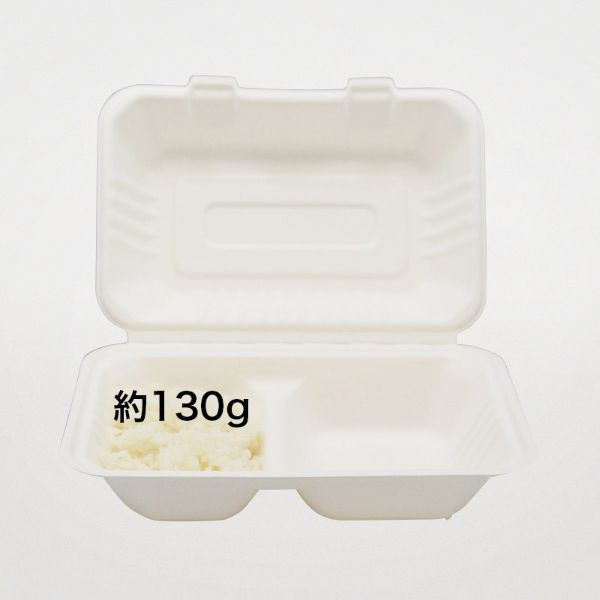エコ容器 ABバガス ランチ240-150-2 パルプモールド フードパック 白色【weeco】