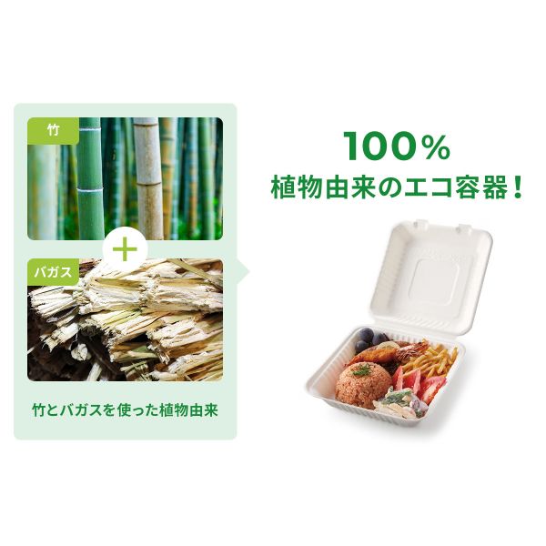 パックスタイル 弁当容器 ABランチ200-200