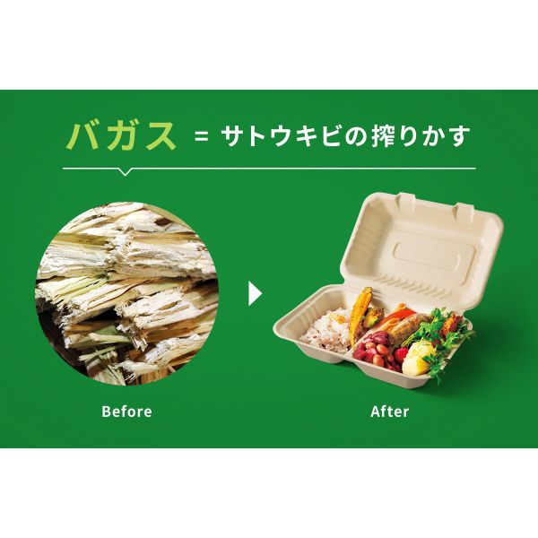 パックスタイル 弁当容器 ABランチ200-200