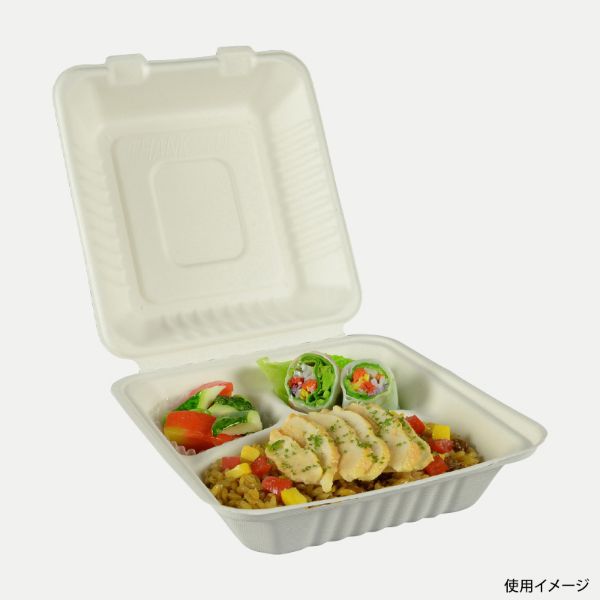 パックスタイル 弁当容器 ABランチ200-220-3