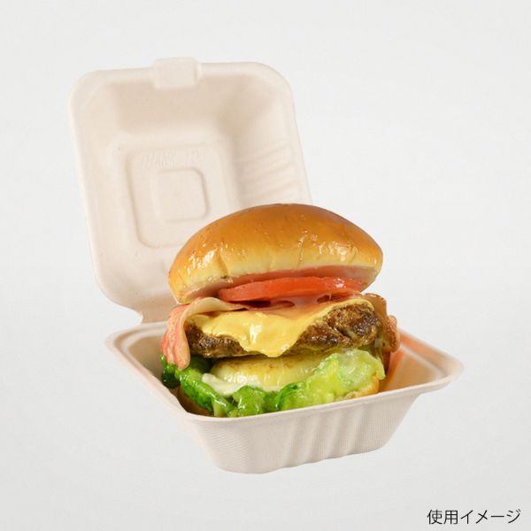 サンドイッチ容器 BBランチ 150-150 パックスタイル