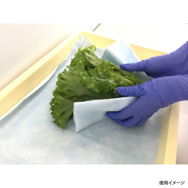 カウンタークロス ワイプオール X50 ブルー6つ折り Lサイズ 50枚 日本製紙クレシア