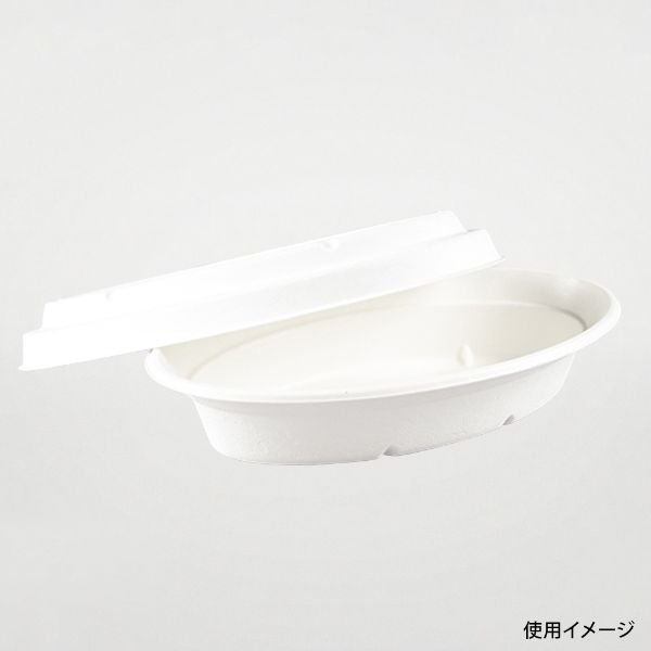 カレー容器 ABカレー C-2 ラミ パックスタイル