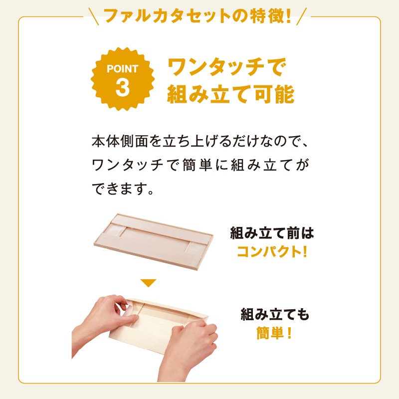 ファルカタ容器 ファルカタ164-100 セット パックスタイル