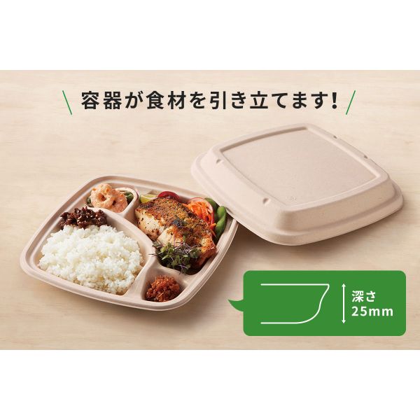 弁当容器 BB弁当 N23-23B ラミ パックスタイル