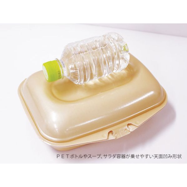 弁当容器 DLVランチ23-18-1 ベージュ エフピコ