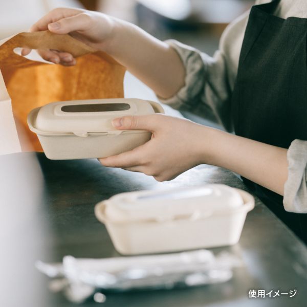 弁当容器 BBランチ N180-120 ラミ パックスタイル