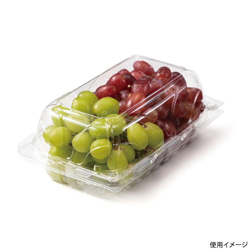 フルーツ容器 バイオ とれたて 20-13(75) リスパック