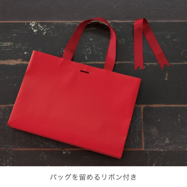 紙手提袋 ギフトレッドハンドル付キペーパーバッグ-2(10枚) ヘッズ